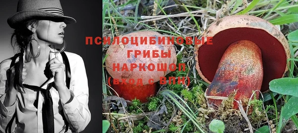 ALPHA PVP Верея