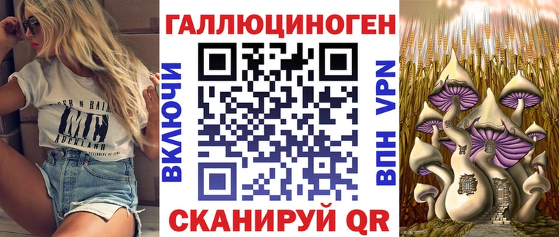 Купить закладки  Курлово  Псилоцибиновые грибы Psilocybe 